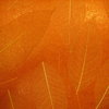 Blätter-Tapete SBL-07 Orange mit Glimmer